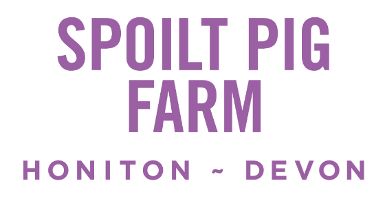 Spoilt Pig Farm - Honiton - devon